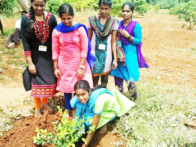 Green NGO